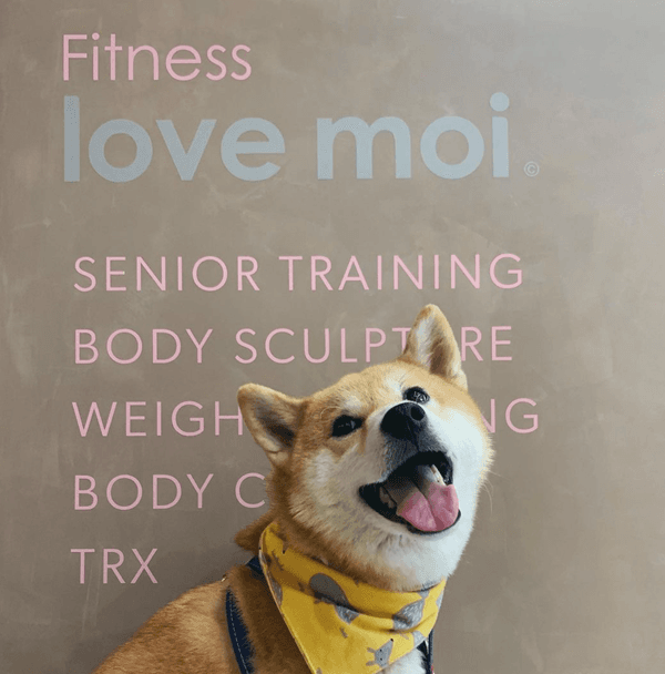 力與美結合，打造粉紅色的溫馨空間－Love Moi 愛自己健身工作室