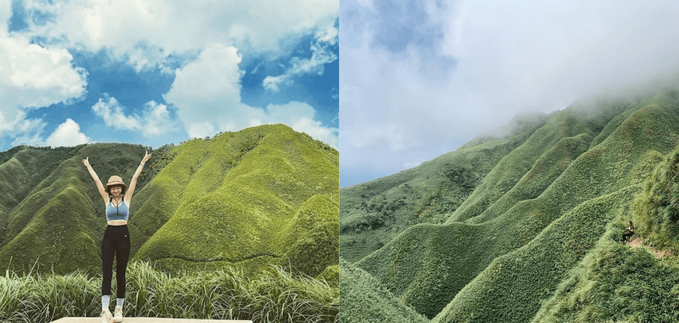 「最夯網美山」抹茶山開放了！登山路線、交通、行前準備全攻略