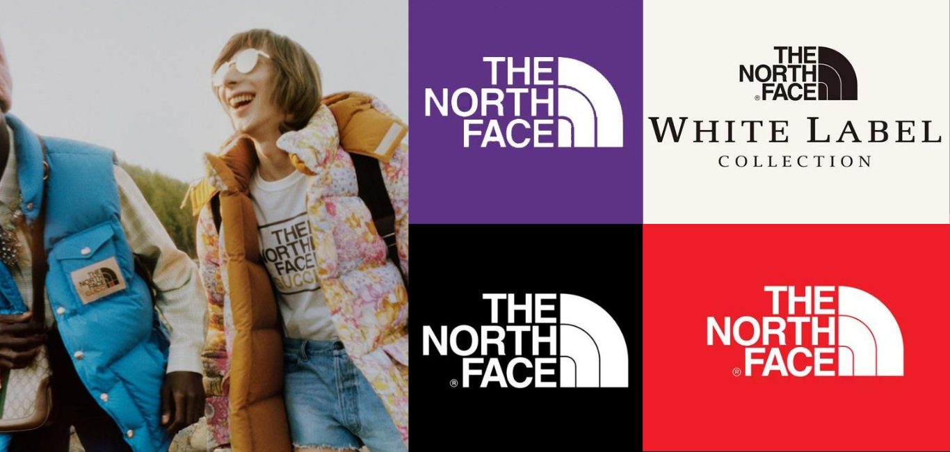 The North Face 支線好複雜？一次搞懂四大支線紫、黑、白、紅標